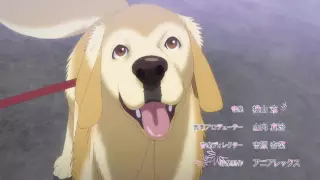 قسمت 4
