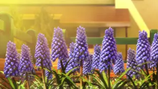 قسمت 12