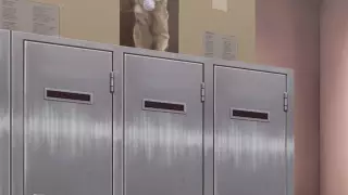 قسمت 10