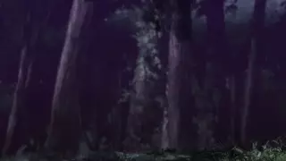 قسمت 12
