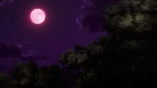 قسمت 6