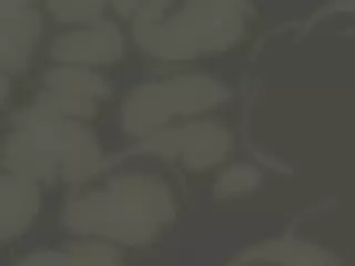 قسمت 118