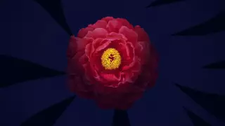 قسمت 3