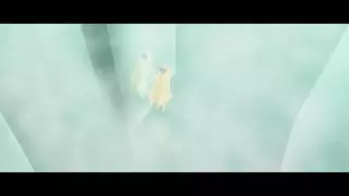 قسمت 7