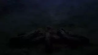 قسمت 8