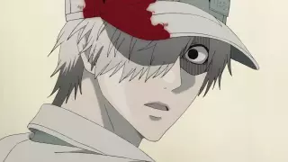 قسمت 8