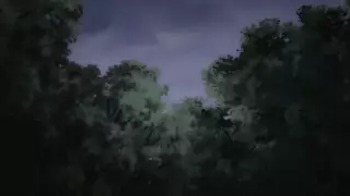 قسمت 11