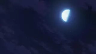 قسمت 8