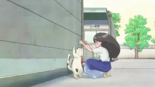 قسمت 5