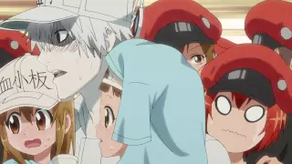قسمت 11