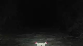 قسمت 4