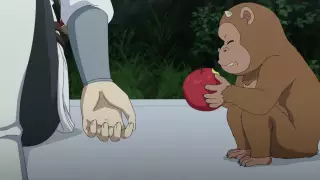 قسمت 5