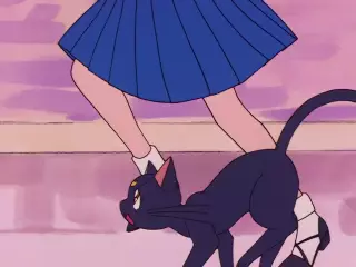 قسمت 5