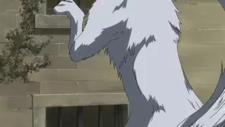 قسمت 9