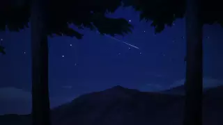 قسمت 13
