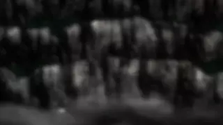 قسمت 31