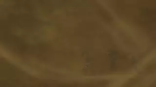 قسمت 410