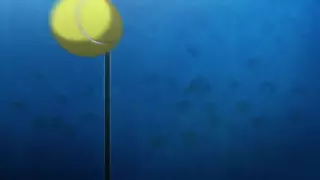 قسمت 5