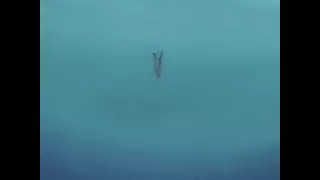 قسمت 26