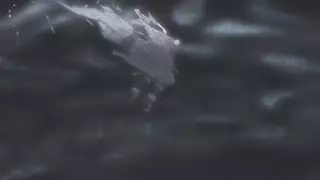 قسمت 250