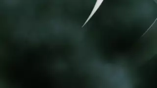 قسمت 11