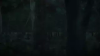 قسمت 2