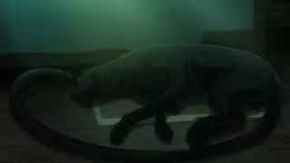 قسمت 6
