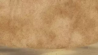 قسمت 127